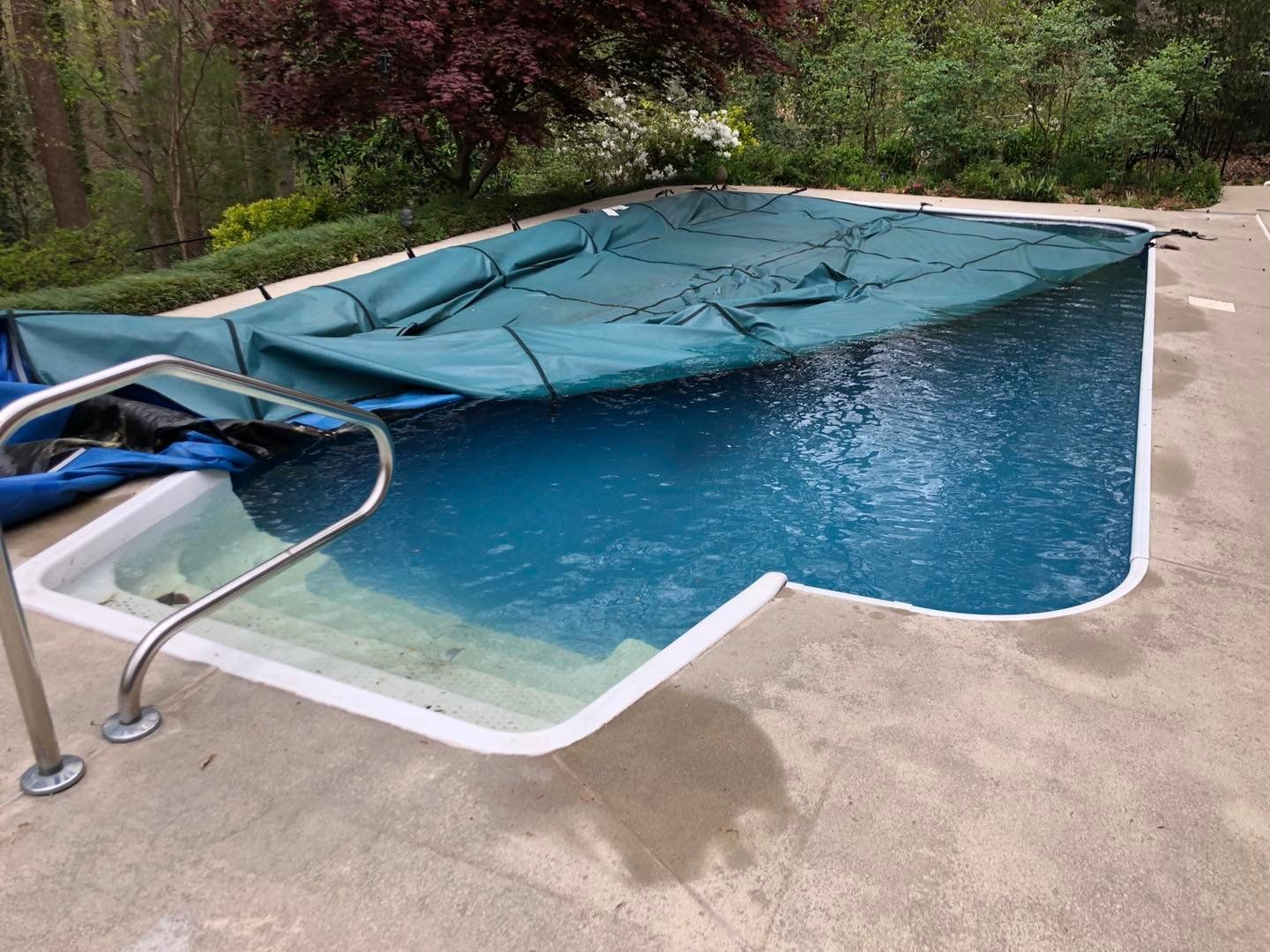 palmetto-pools-and-spas-gallery-013