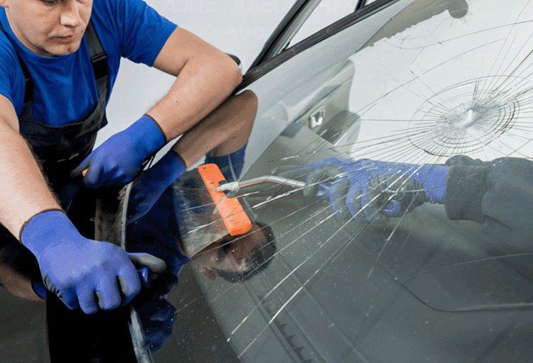 skilled expert glass repair technician