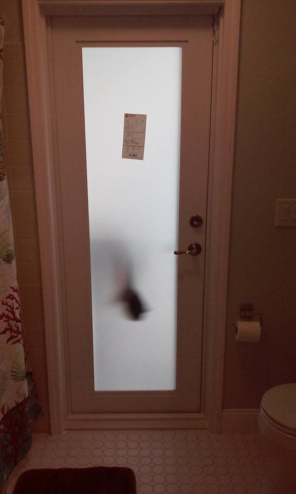 Doors service