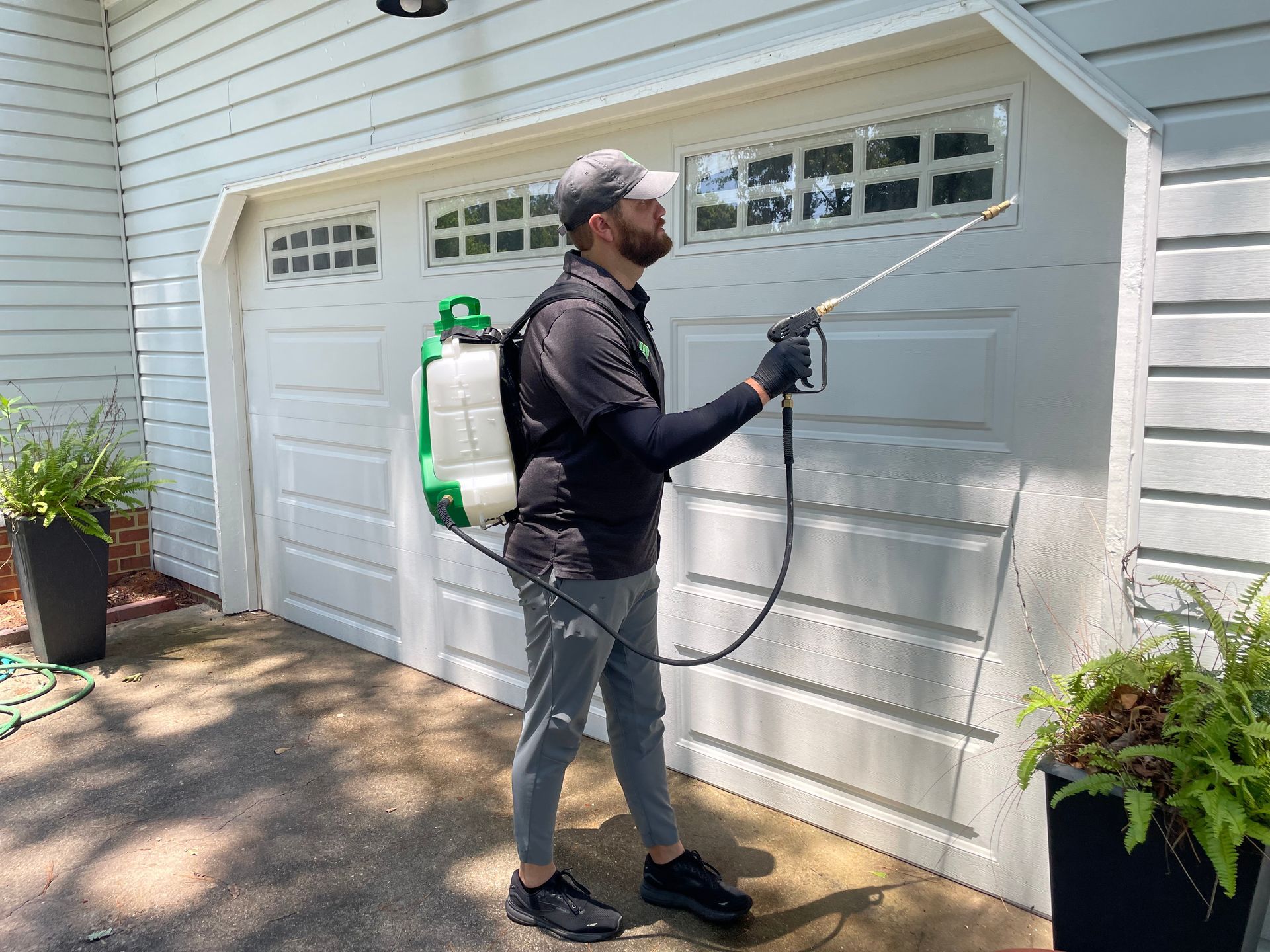 Green Leaf Pest Solutions Treating for Ants