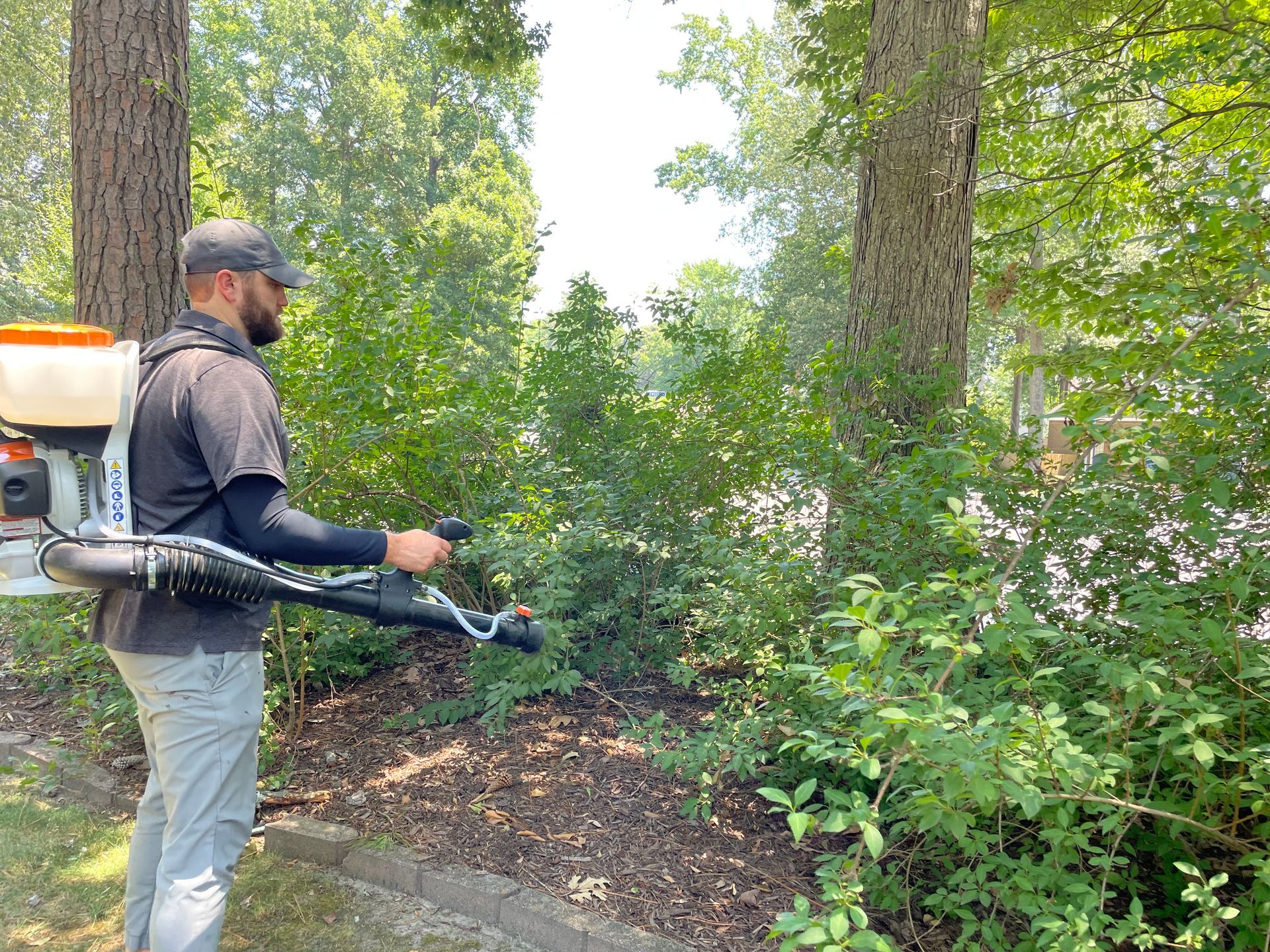 Mosquito Spraying in Chesapeake, VA
