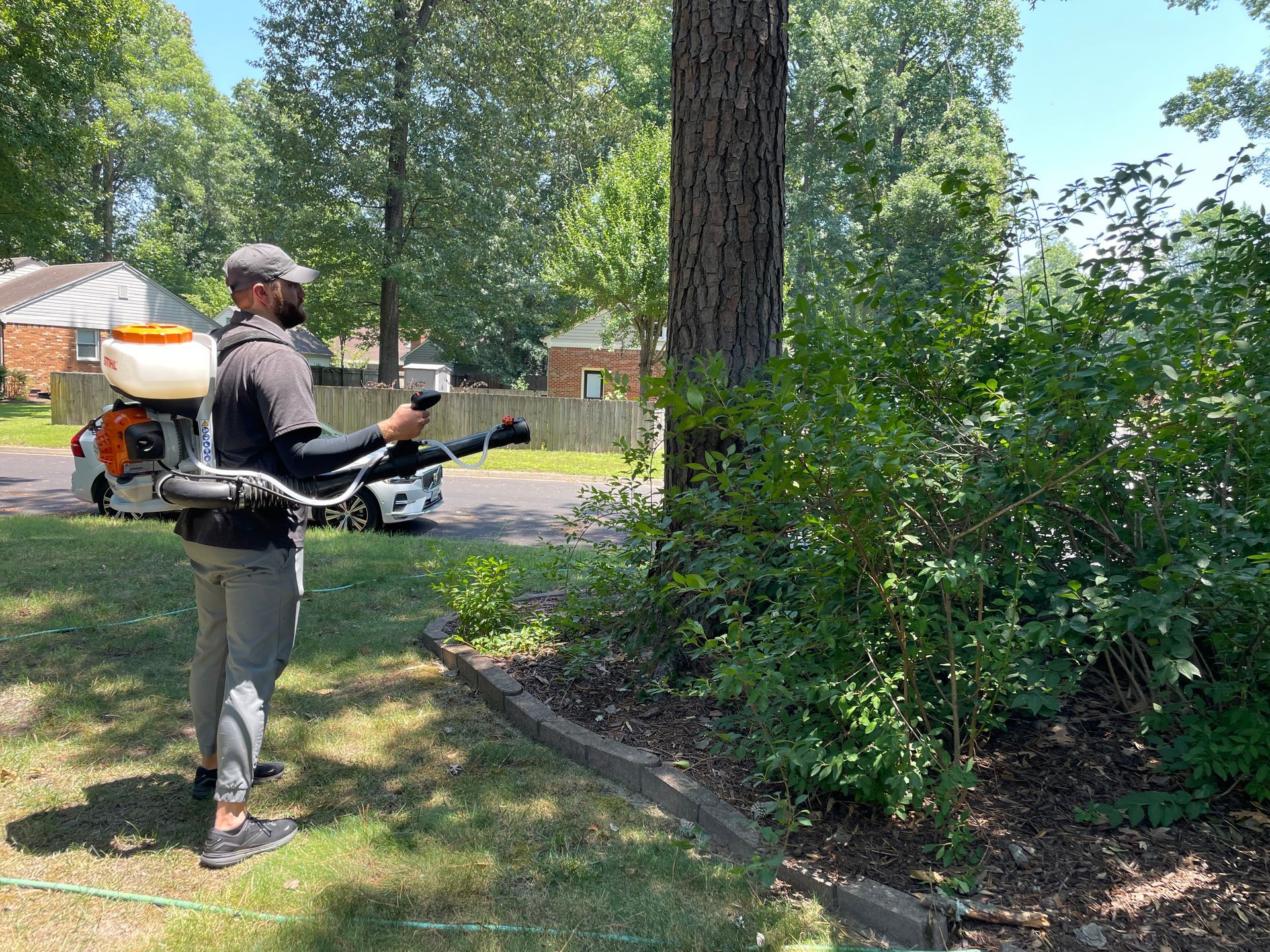 Green Leaf Pest Treating for Mosquitos