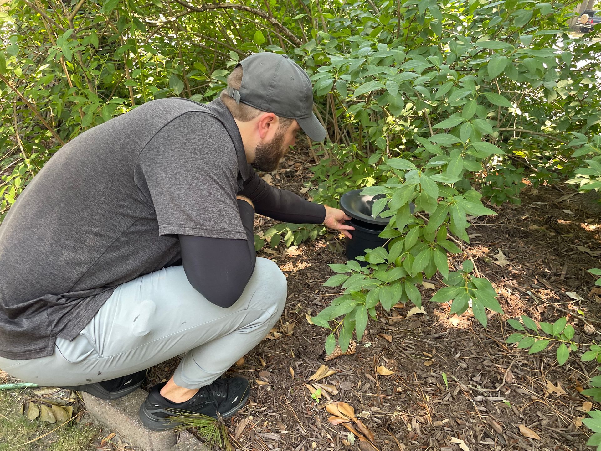 Mosquito Traps installed in Chesapeake