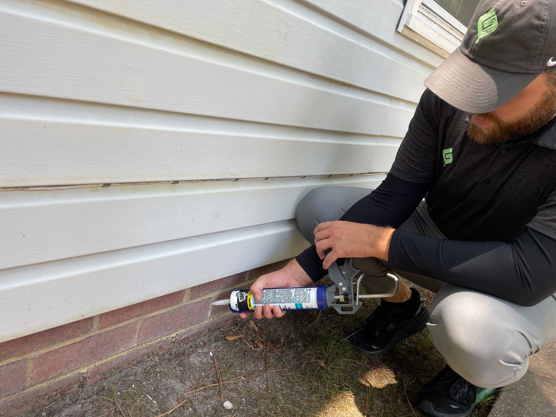 Ant Removal Suffolk, VA