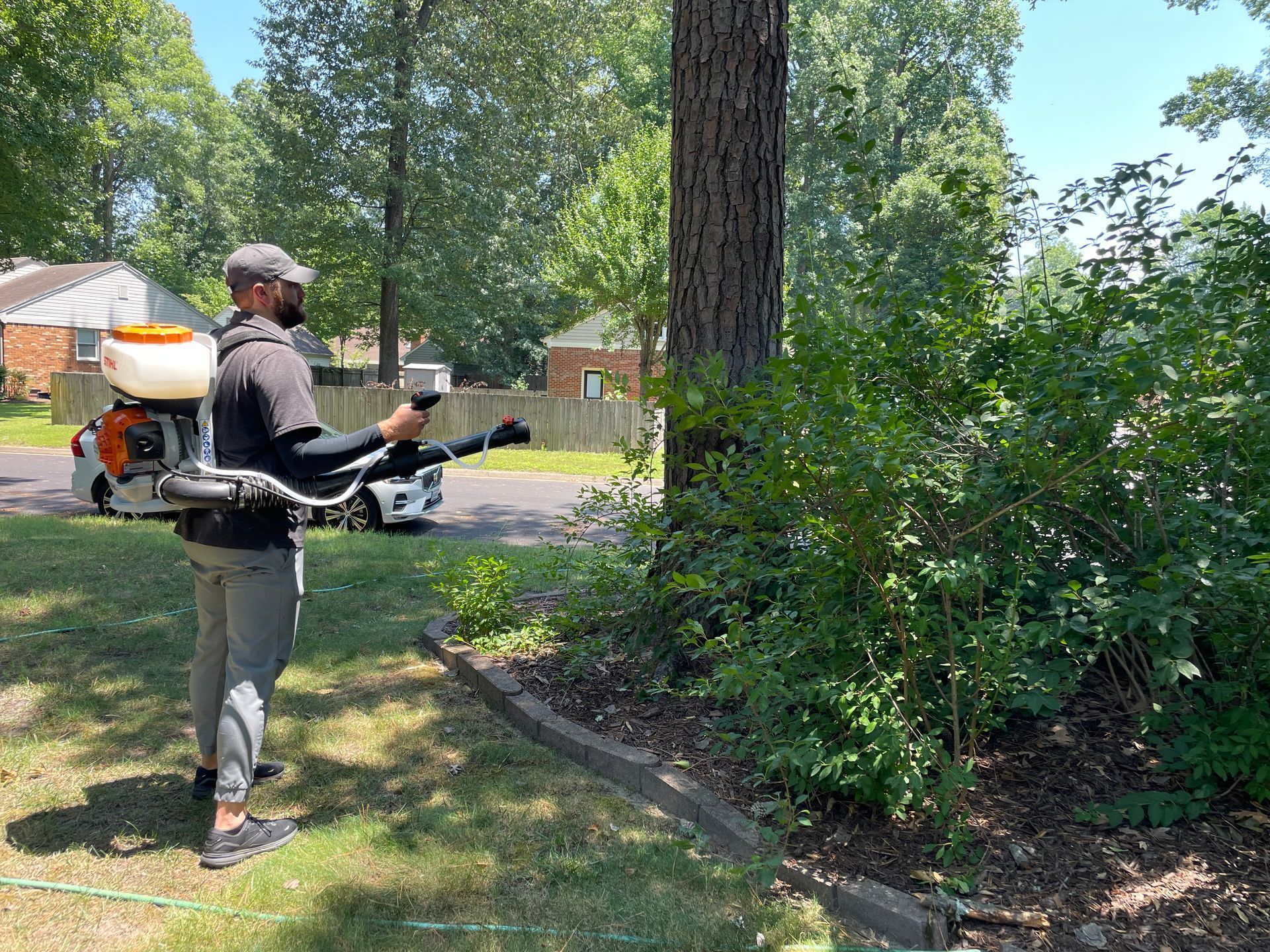 Professional mosquito spraying, control, and treatment in Chesapeake, VA