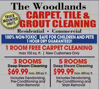 The Woodlands Grout Cleaning, Grout Cleaning The Woodlands TX