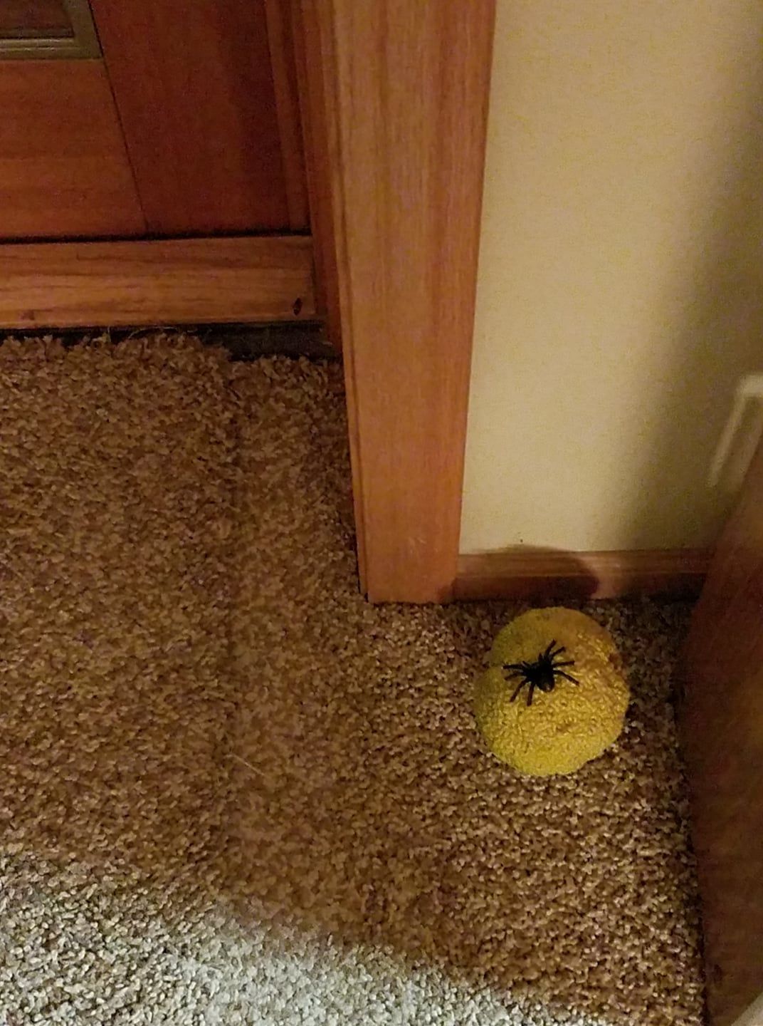 A spider is sitting on a yellow sponge on the floor next to a door.