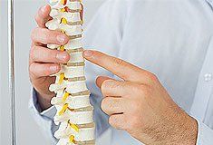 spine explanation
