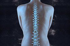 full spine treatments