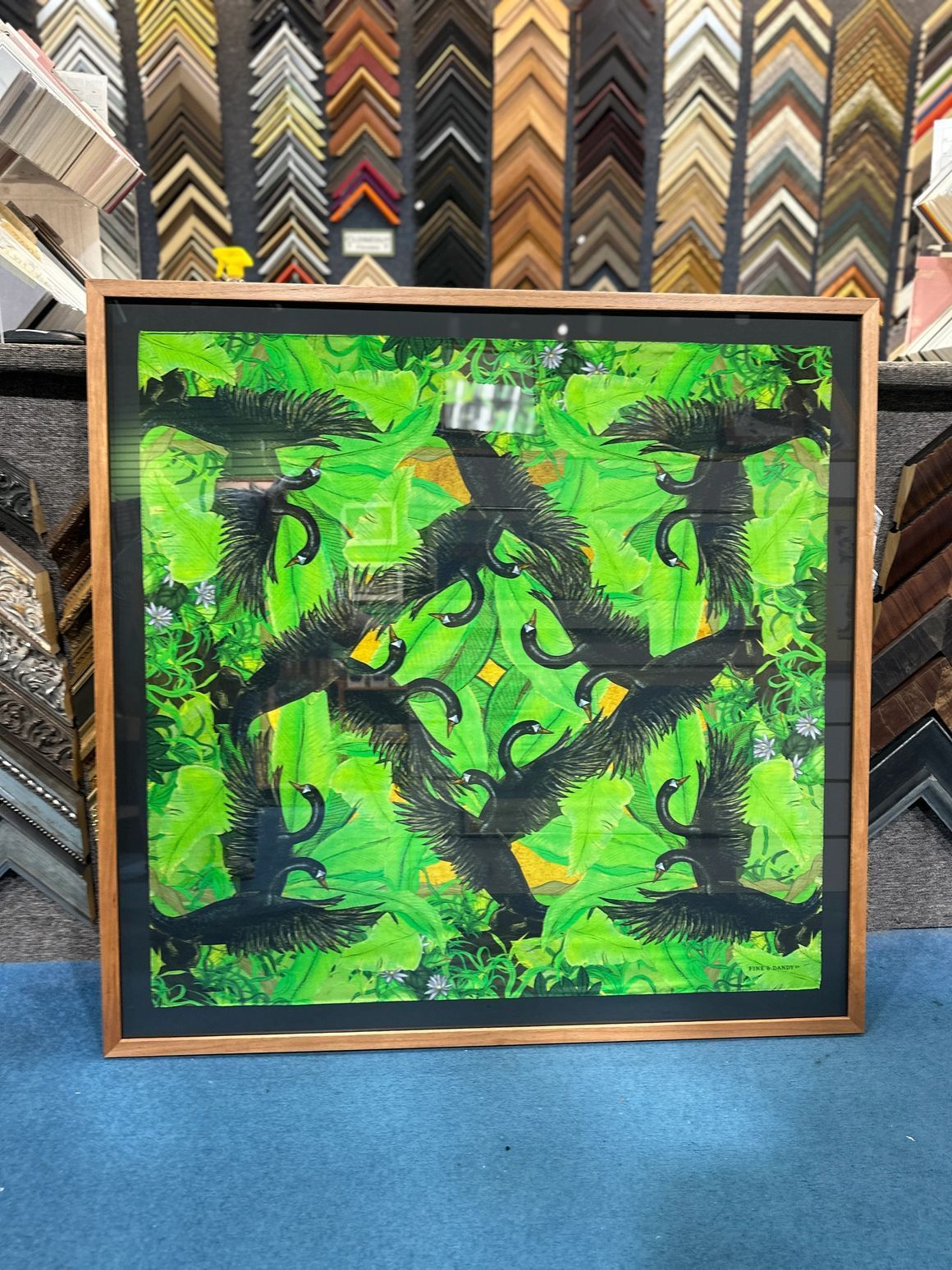Black swans on a green background, framed in a shop with various frames in the background.