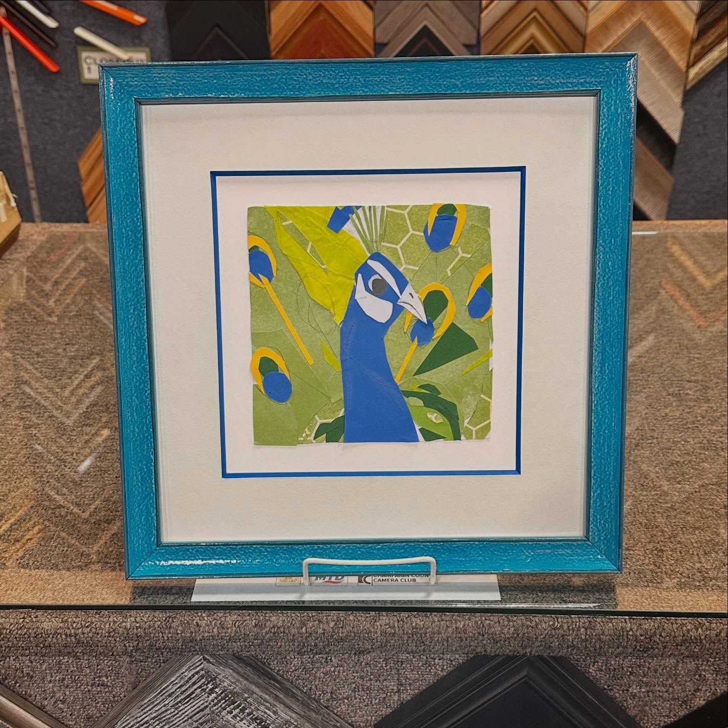 Blue-framed print of a peacock. The peacock is blue, yellow, and green, displayed behind a white mat.