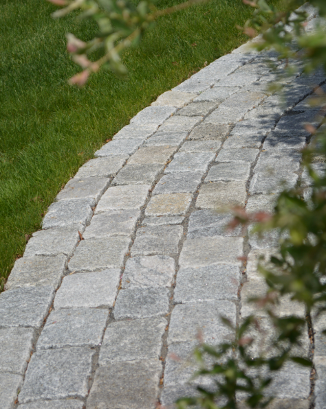 Stone walkway curving through green grass and shrubs