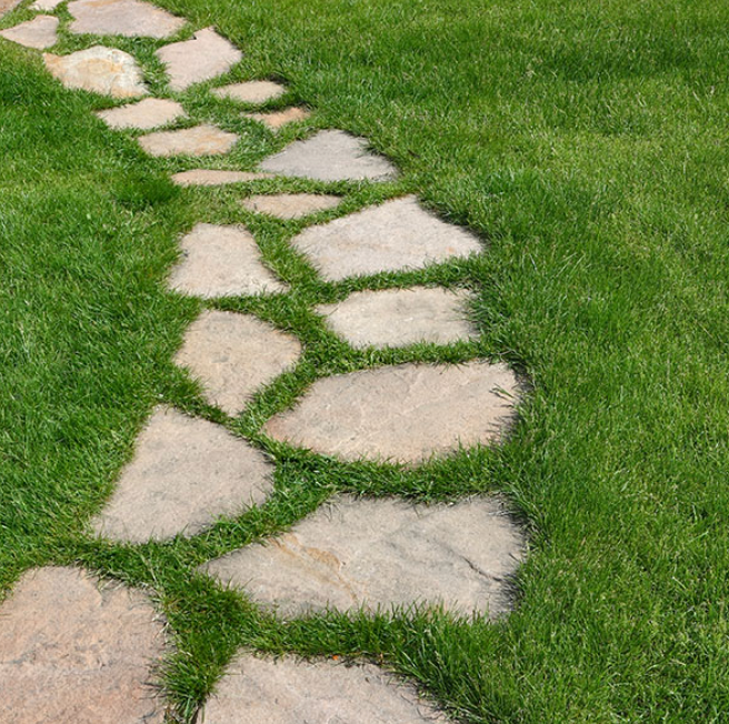 Stone stepping path through green grass in a garden