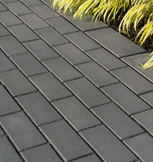 Dark gray paved walkway with yellow-green plants along the edge