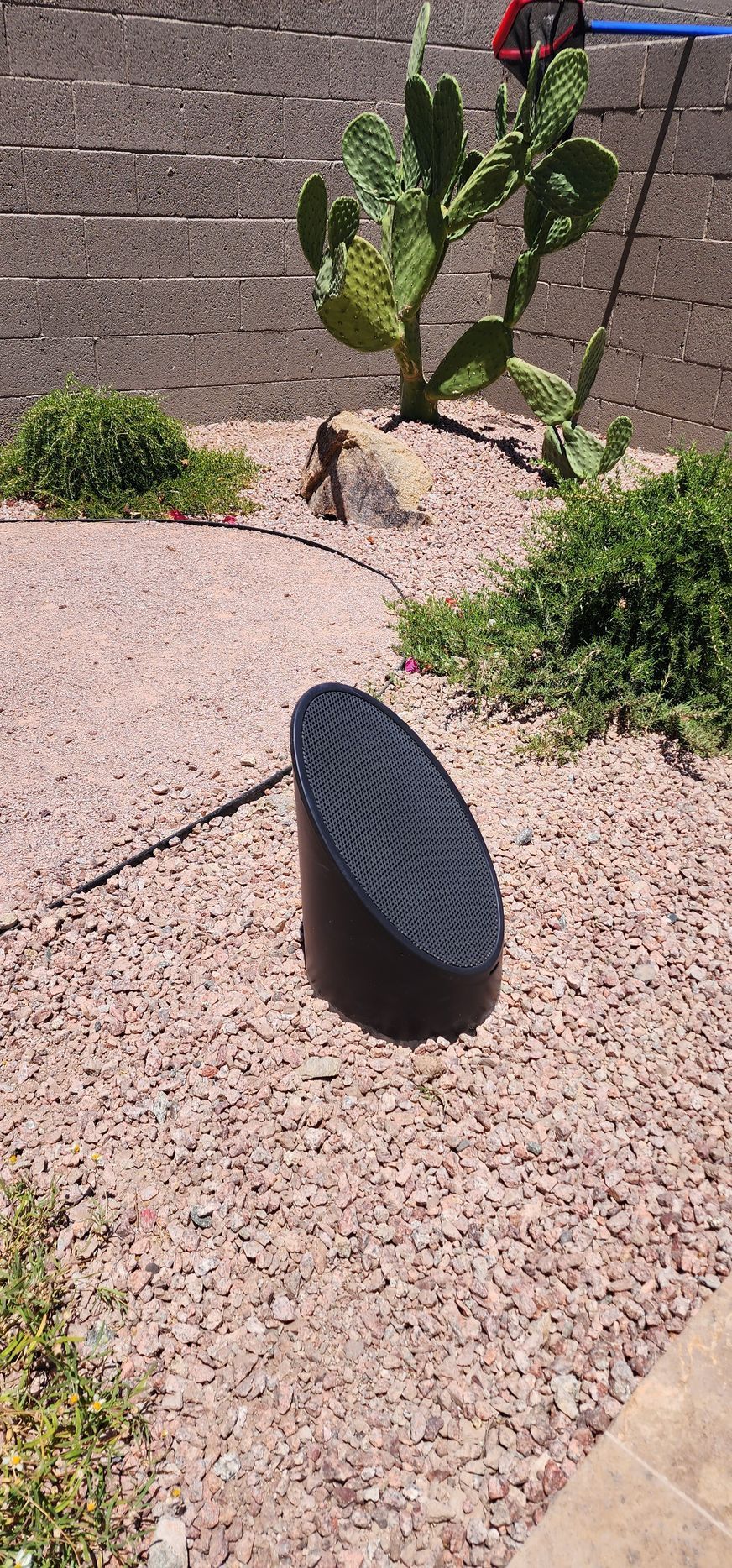 A speaker is sitting on top of a pile of gravel next to a cactus.