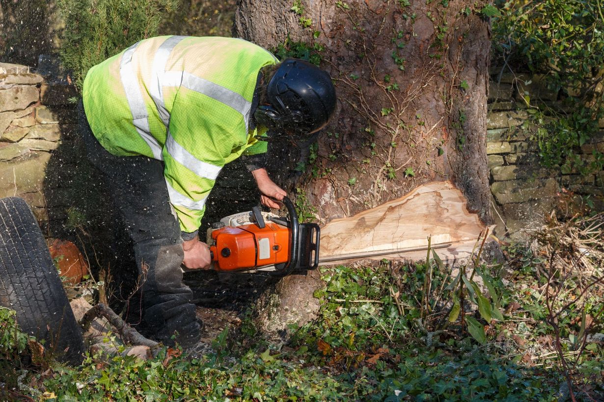 Worker in a high-visibility jacket cuts a tree trunk with a chainsaw in a wooded area.