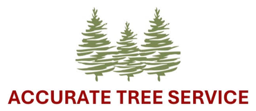 accurate-tree-service - logo