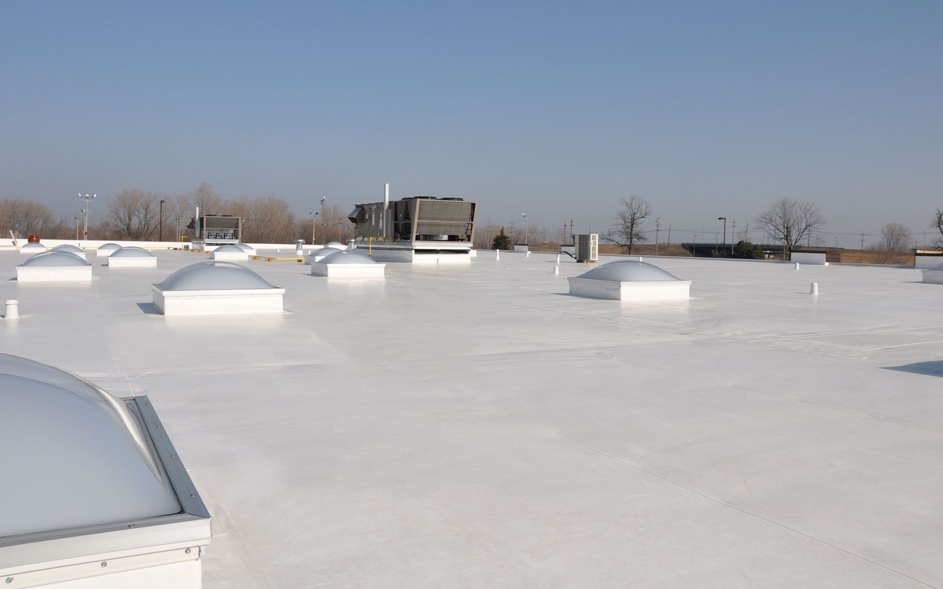 Commercial roof