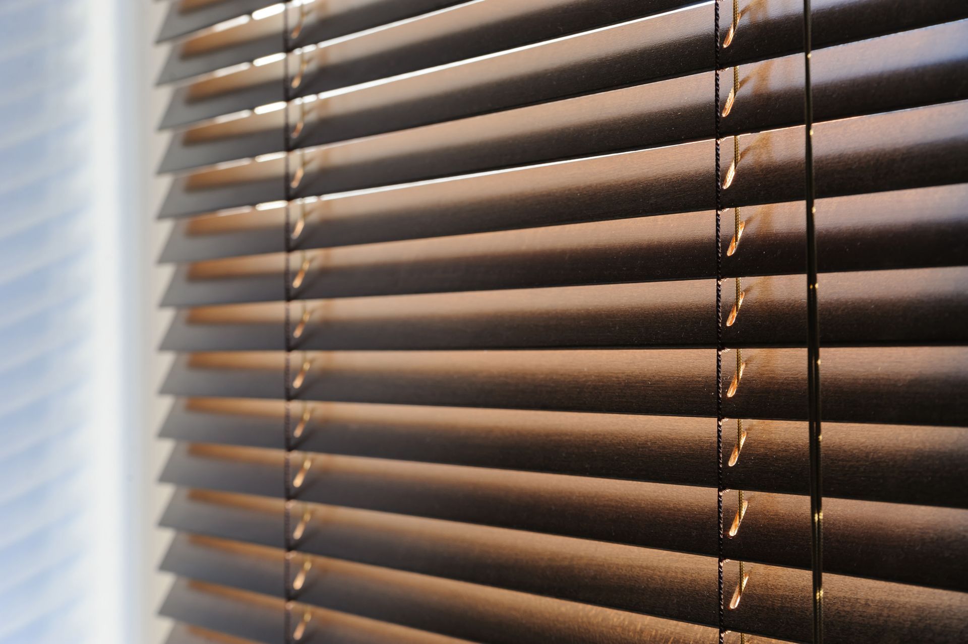 cellular shades