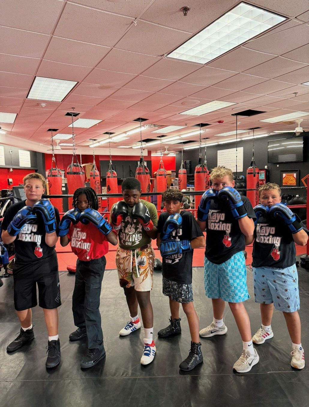 Kayo Boxing
