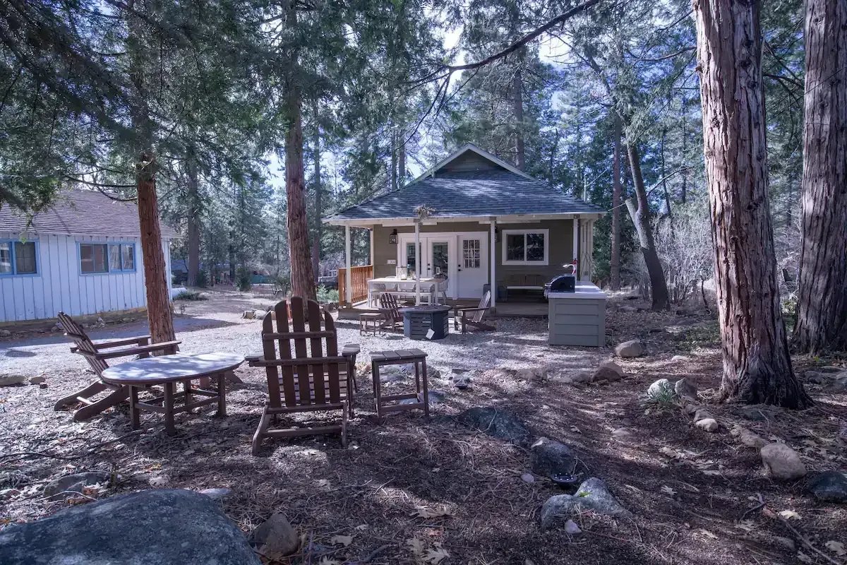 Rustic cabin in a pine forest with a porch, picnic table, and chairs on a snowy ground
