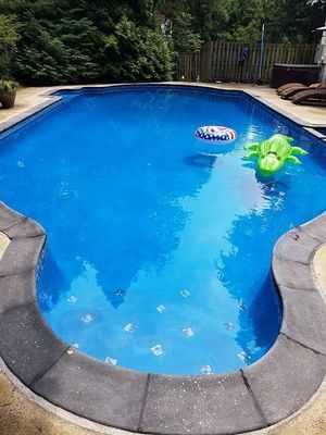 Blue swimming pool with a crocodile and inner tube float.