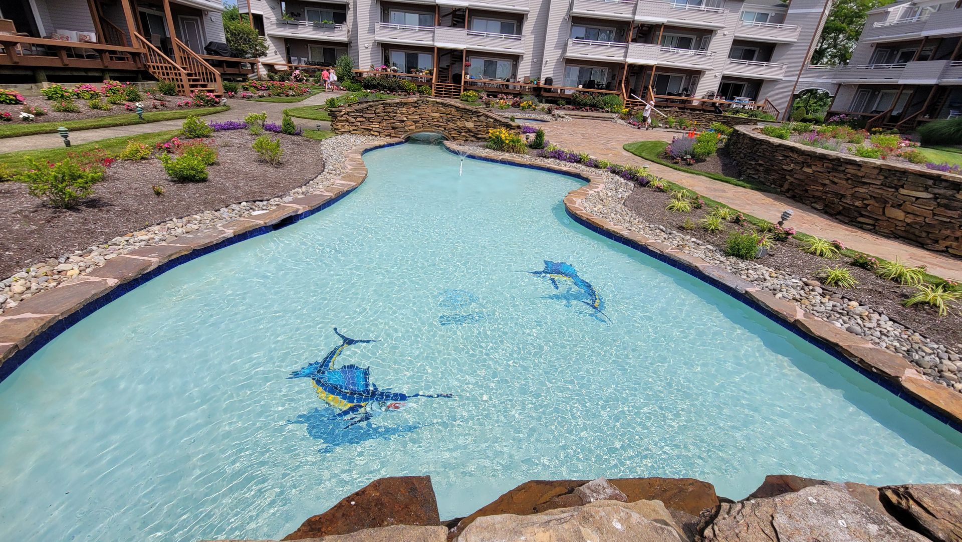 Swimming pool with dolphin mosaic, surrounded by landscaping and buildings.