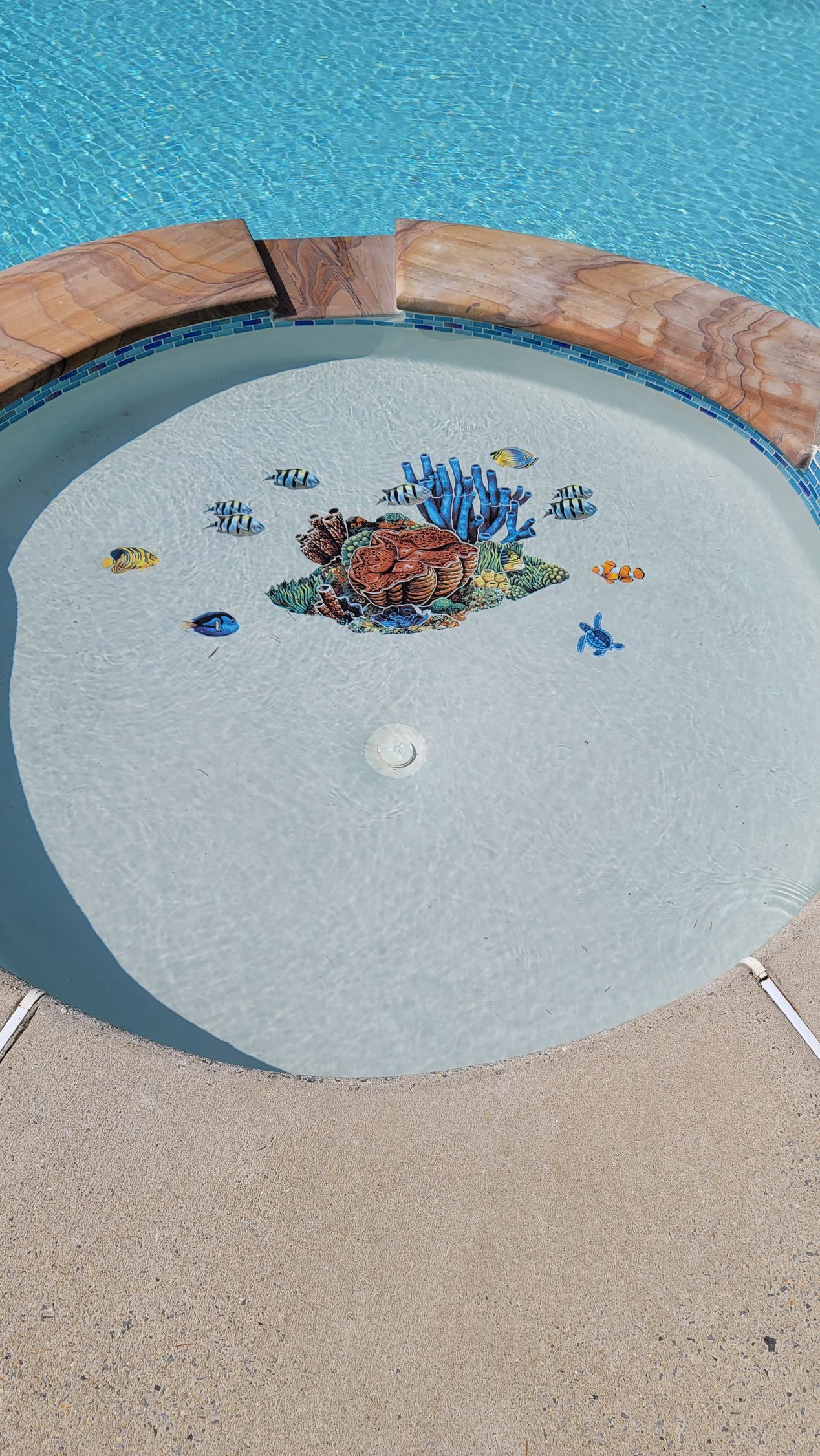 Pool with a circular accent, coral reef mosaic, and surrounding stone.