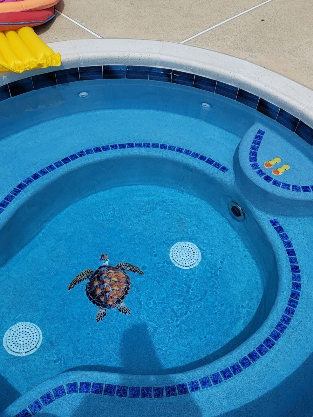 Pool with blue water and a mosaic turtle on the floor.