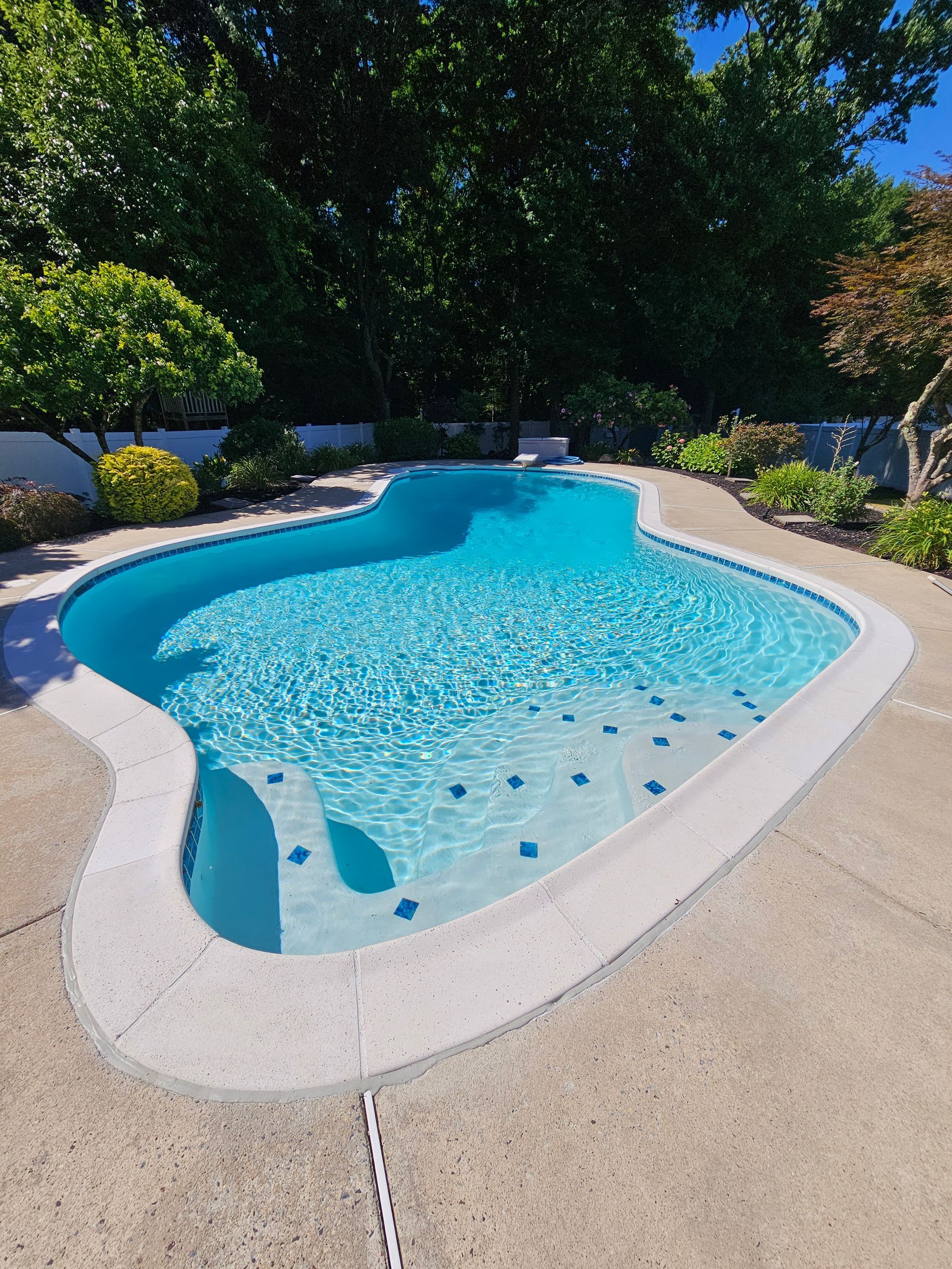 Swimming pool with clear blue water surrounded by concrete patio and greenery.