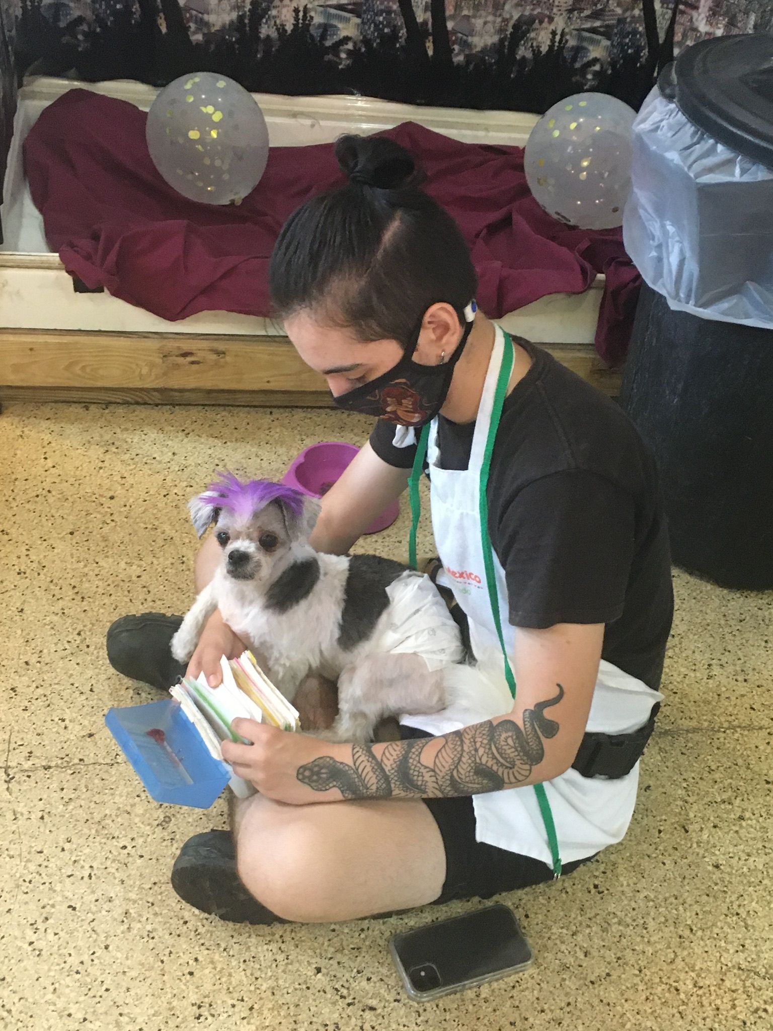 Roxie Daizy Pet Salon Clean Pets