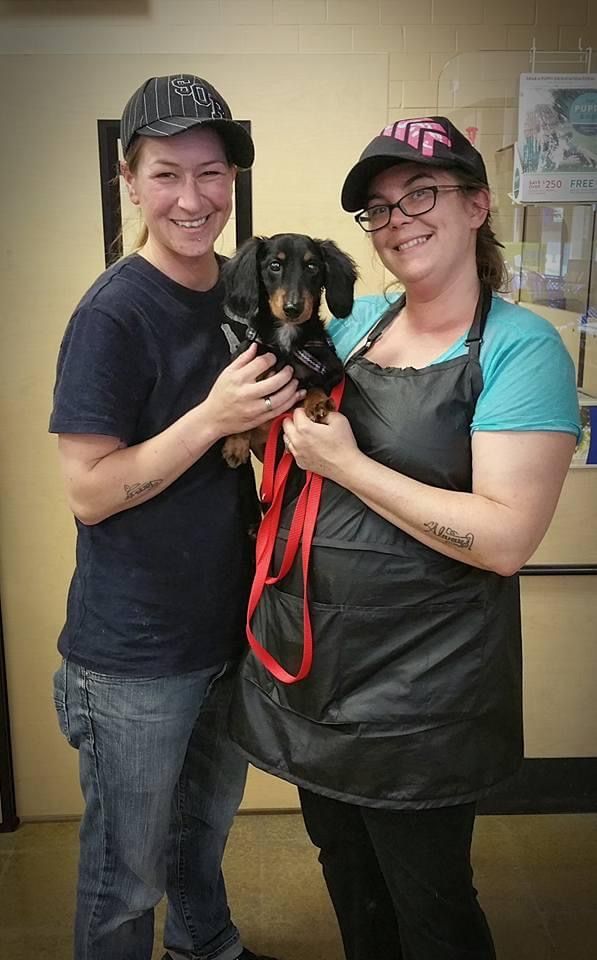 Roxie Daizy Pet Salon Clean Pets