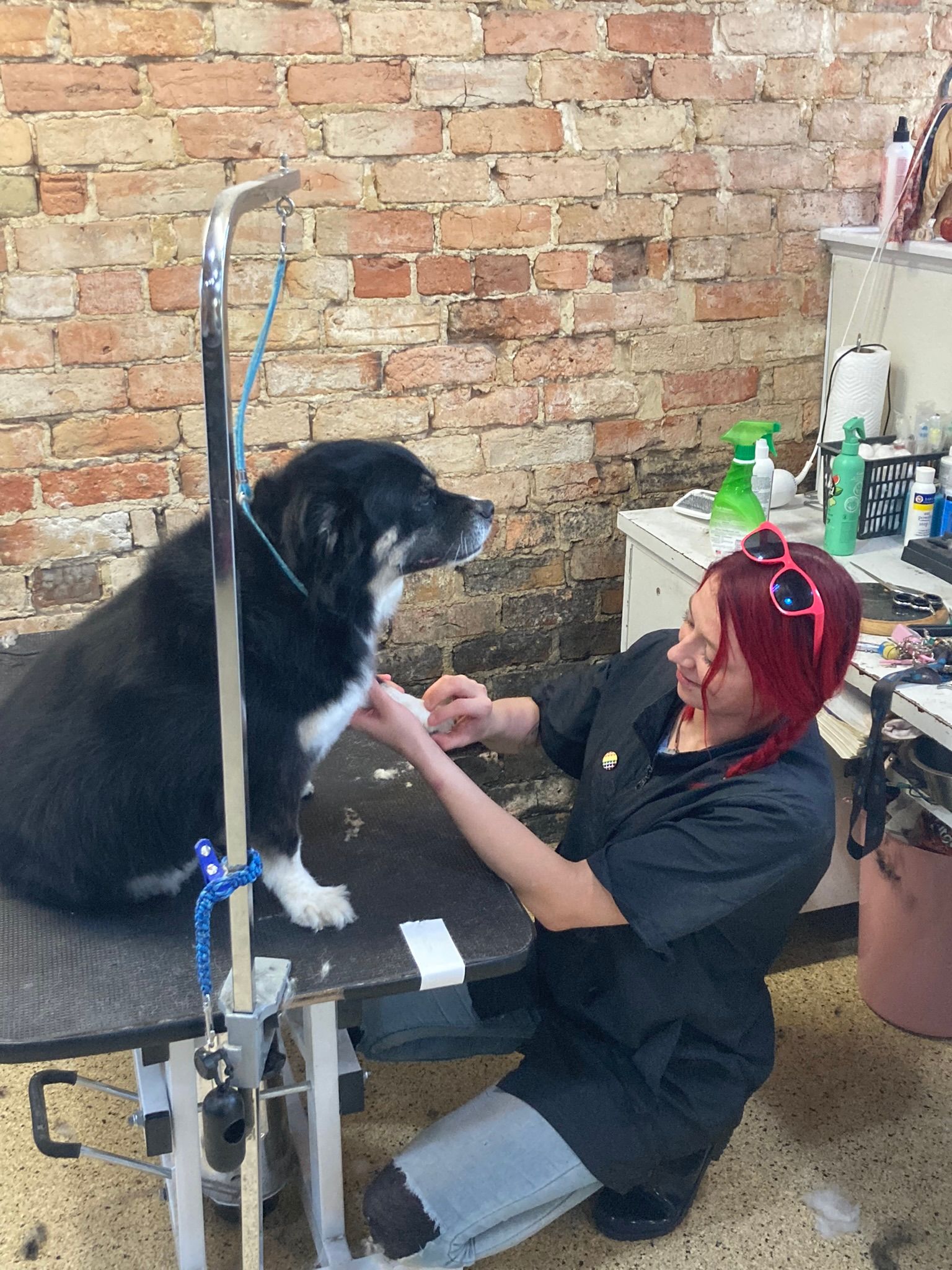 Pet salon service