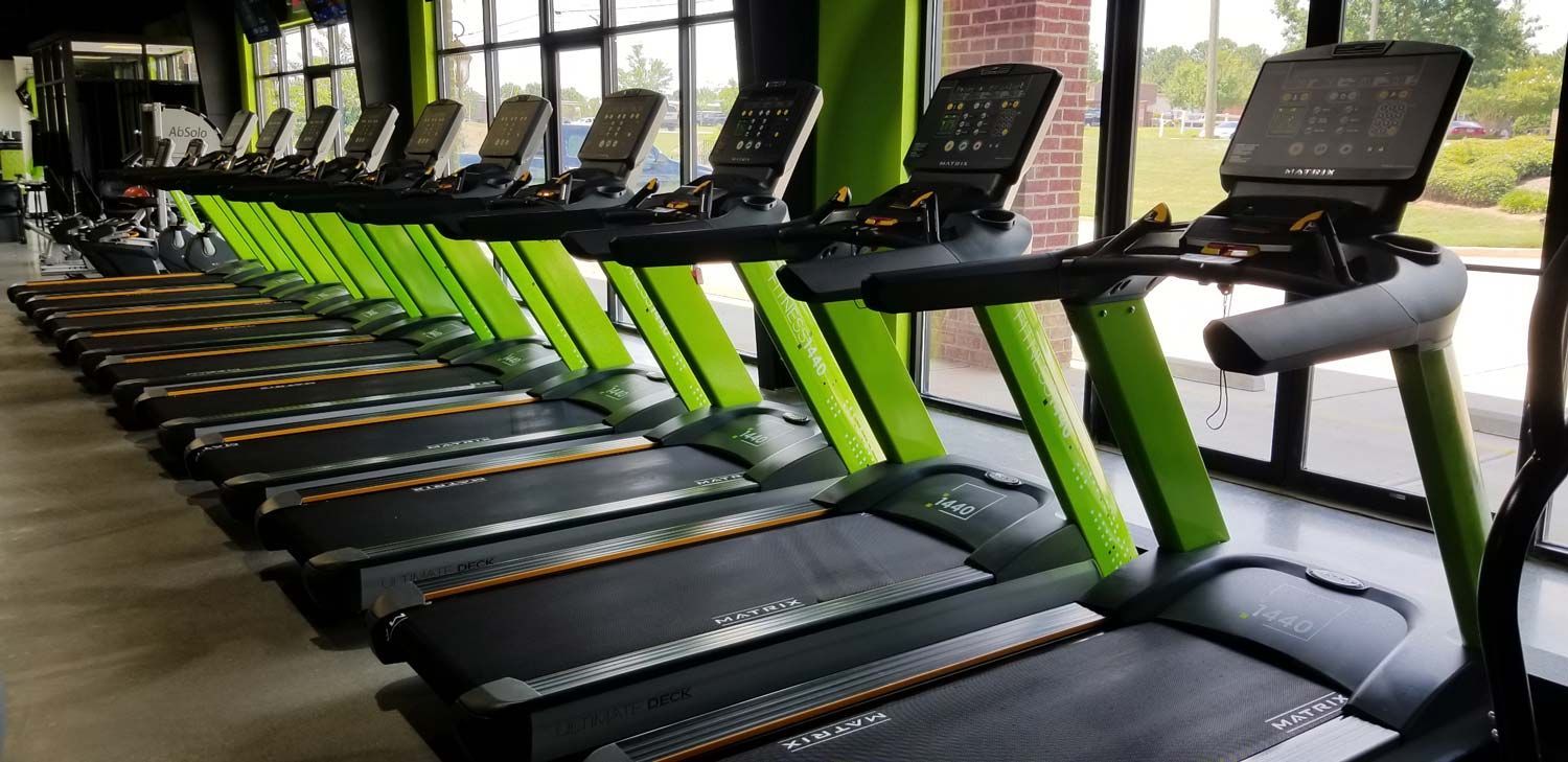 A row of treadmills are lined up in a gym.