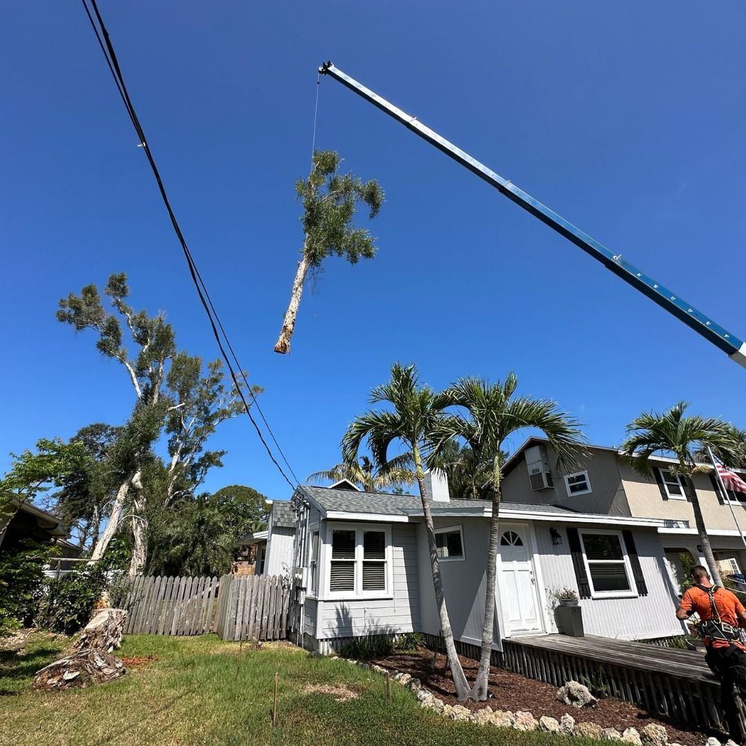 Crane lifting a tree trunk over a house with power lines in a sunny, residential area.