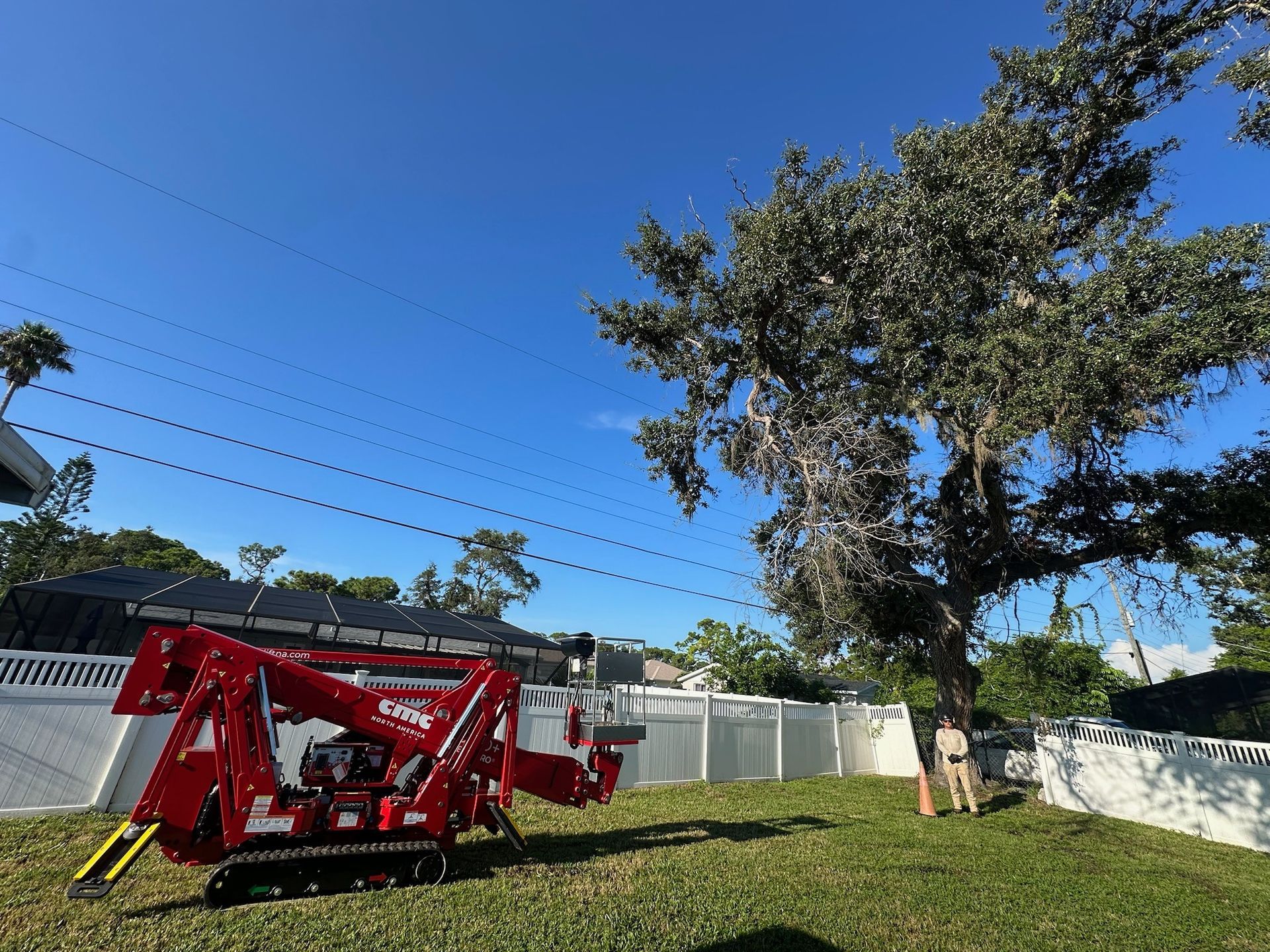 Red stump grinder next to a tree in a sunny yard. White fence and power lines in the background.