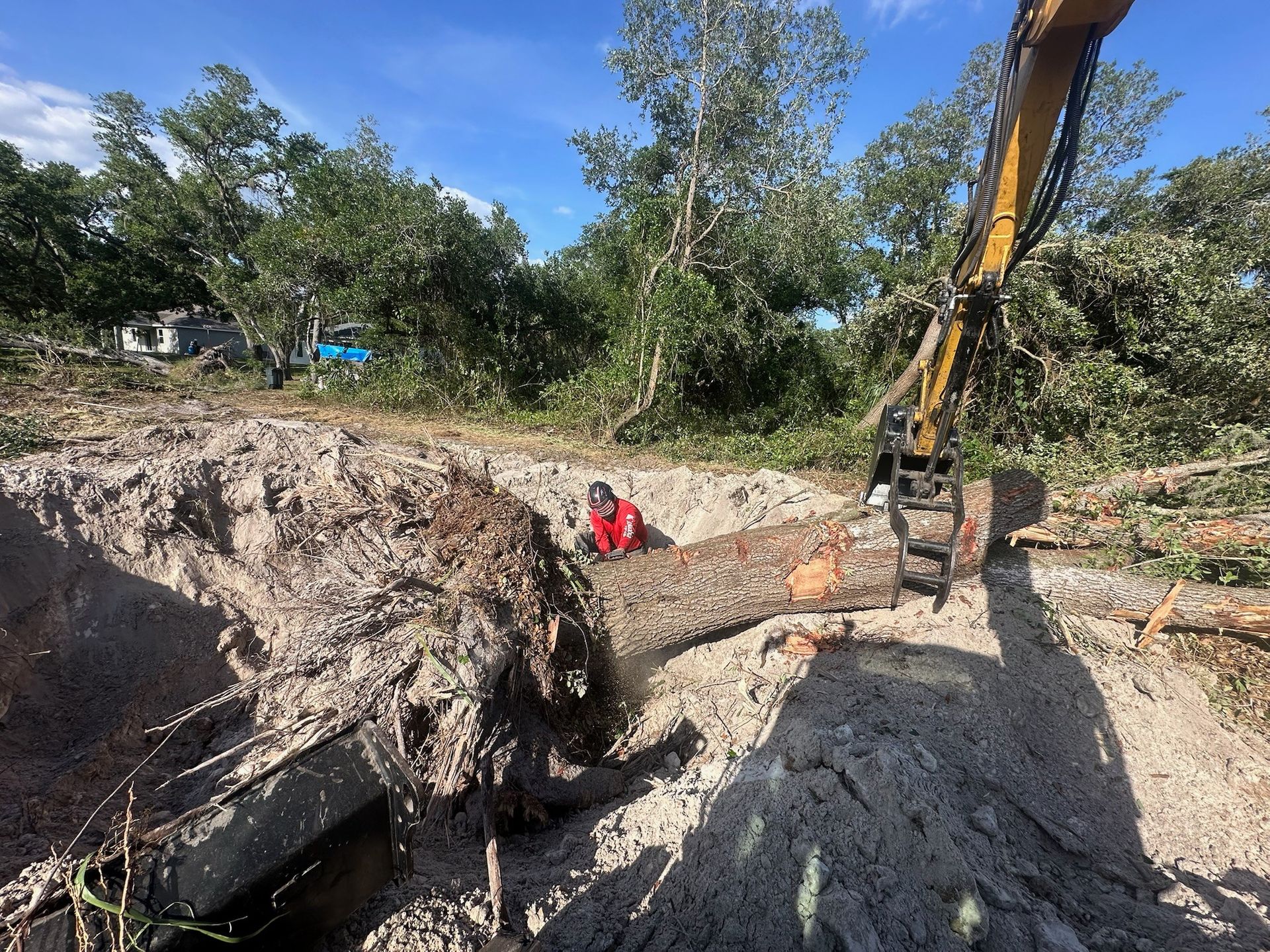 An excavator lifts a tree trunk from a pit. A person uses a chainsaw. Clearing a wooded area on a sunny day.