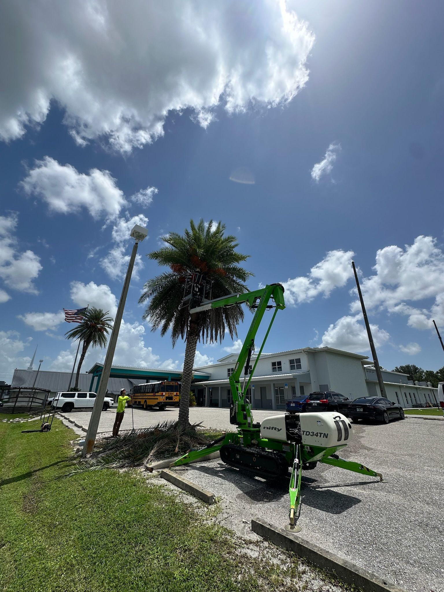 A green lift trims a palm tree in a parking lot on a sunny day. A worker stands nearby.