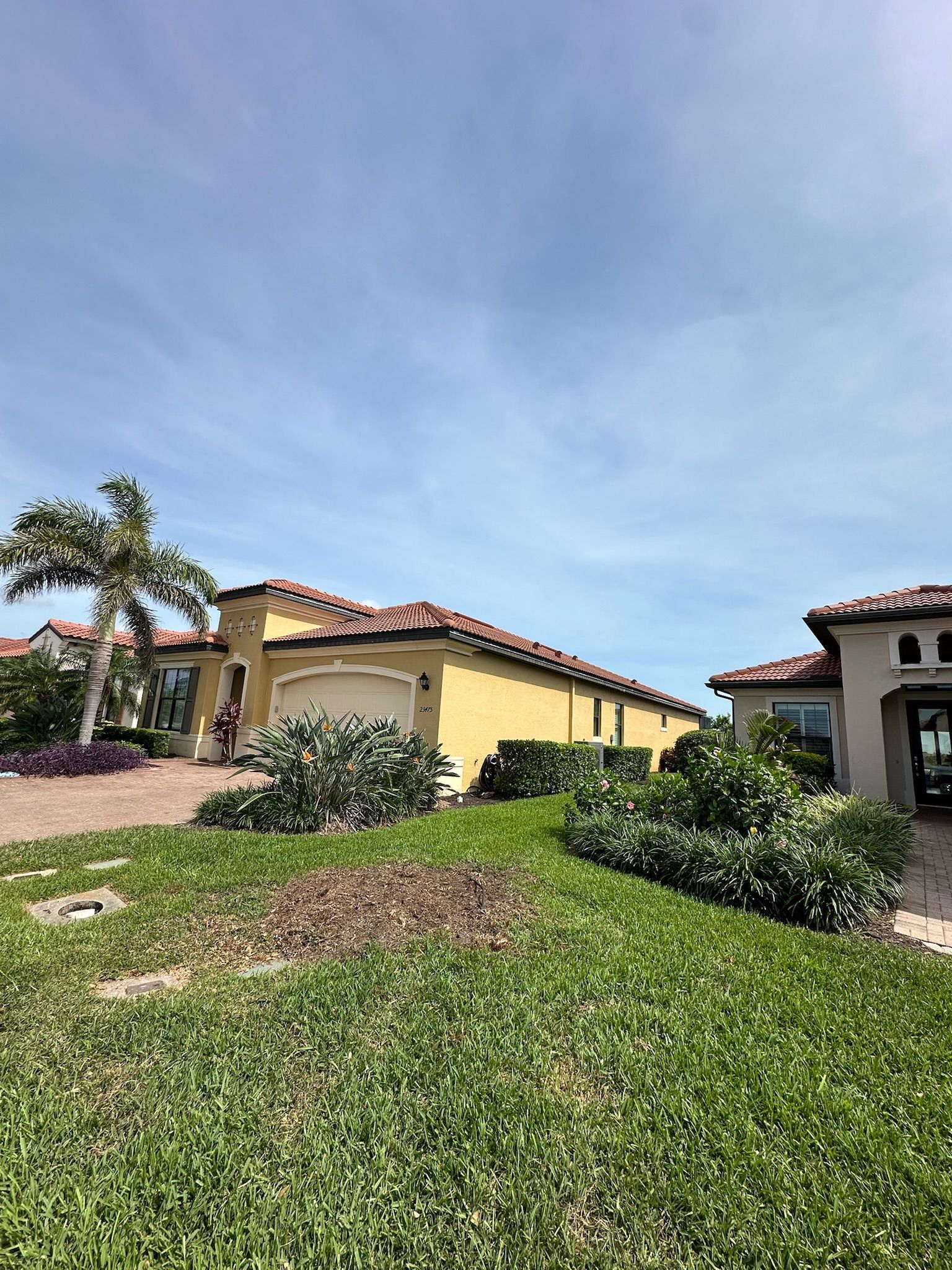 Houses with red-tiled roofs and yellow exteriors, green lawns, and a palm tree under a blue sky.