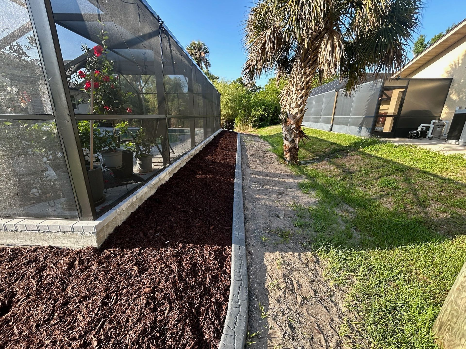 A view of a backyard with a screened-in pool enclosure, mulch bed, and a palm tree.