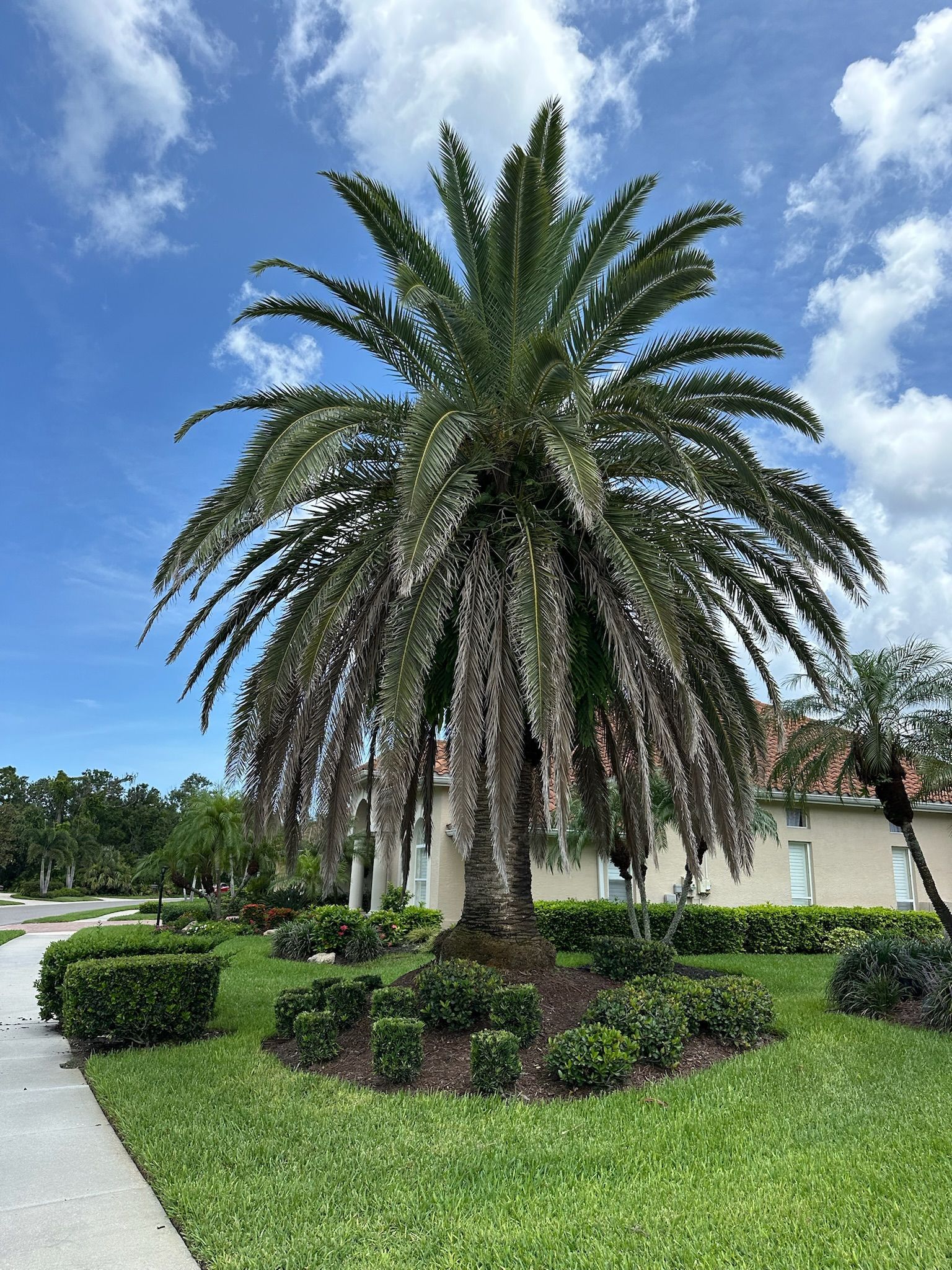 Liberty Tree & Land Services