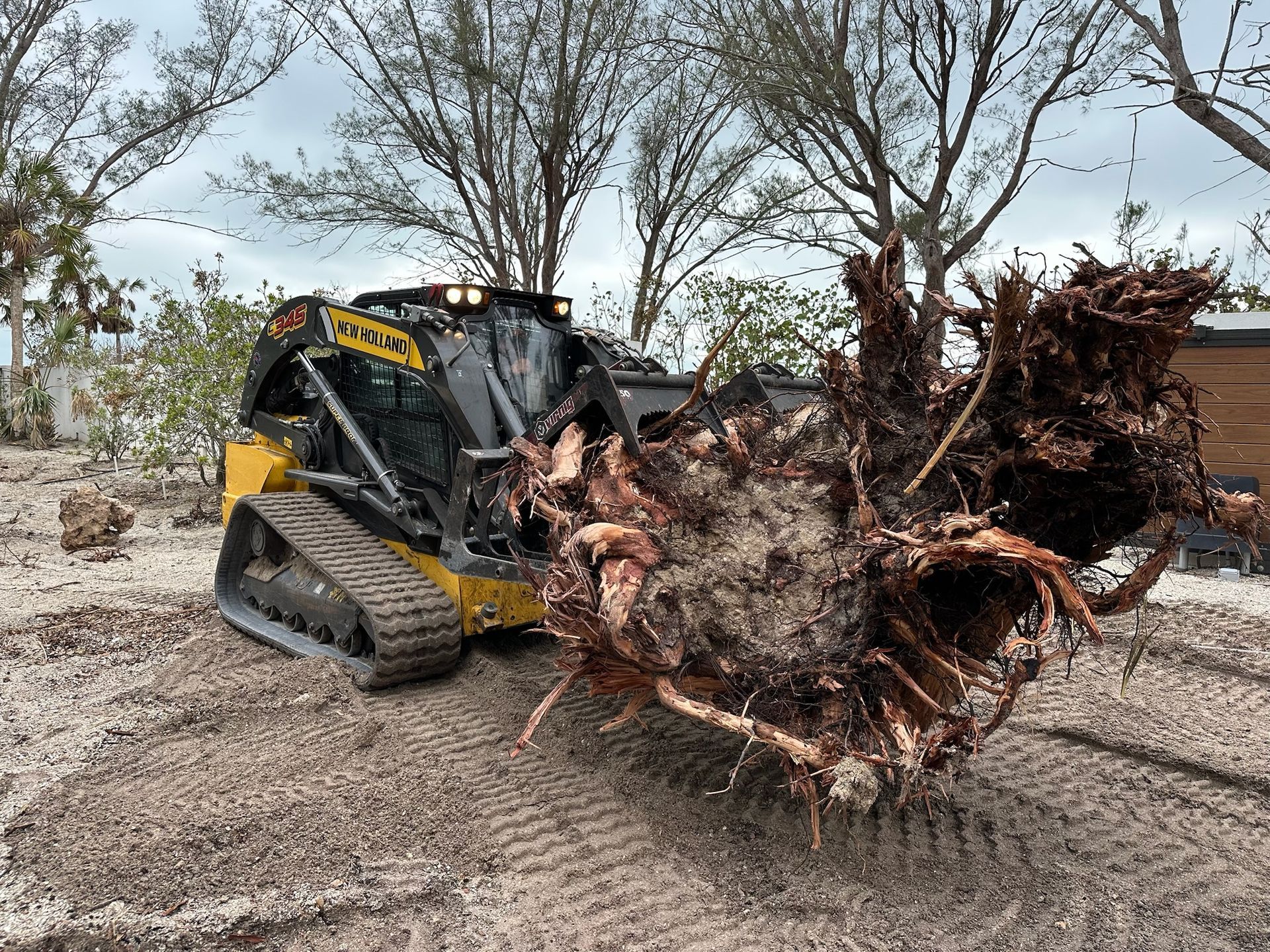 Liberty Tree & Land Services