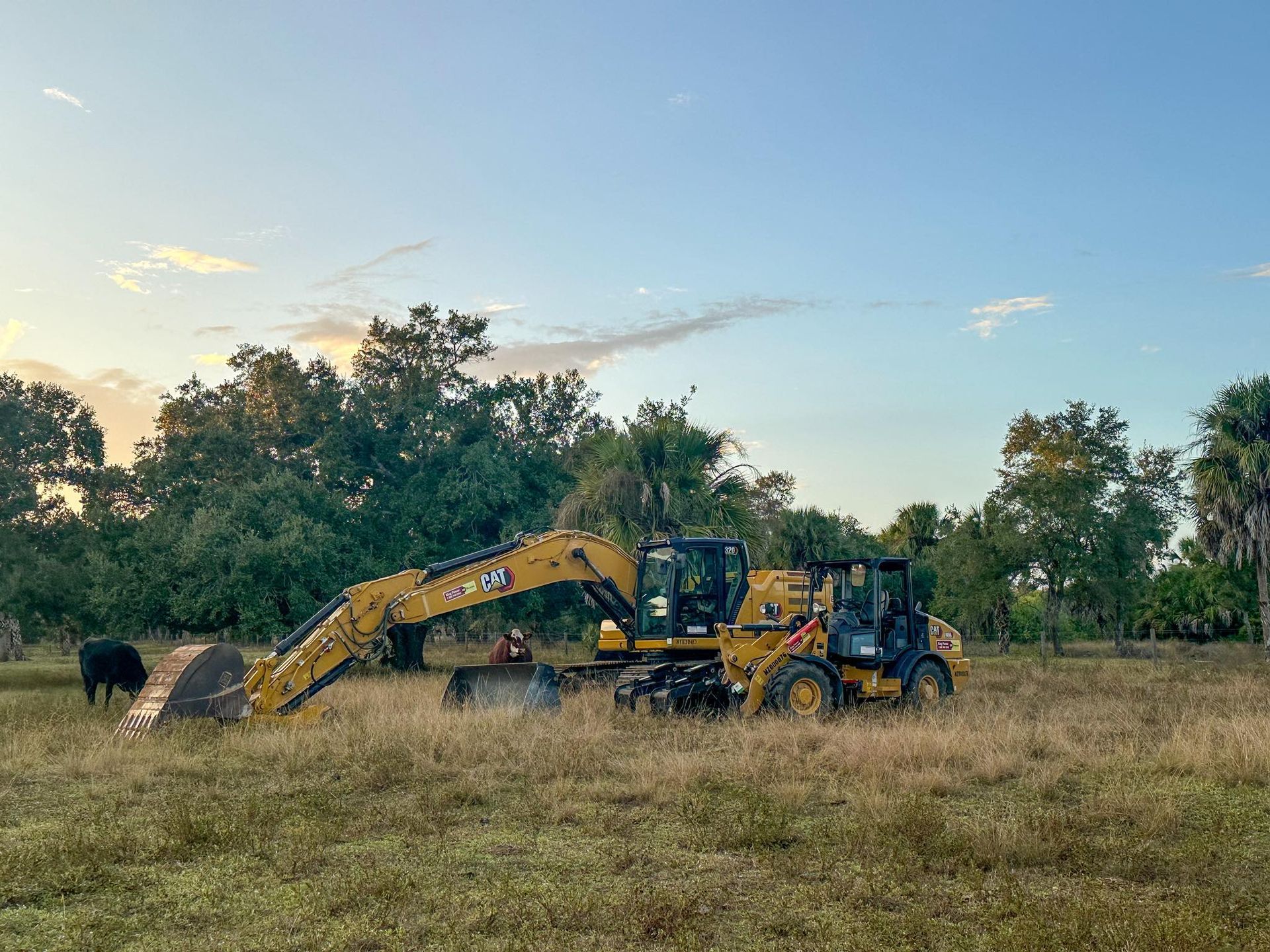Two yellow CAT construction vehicles parked in a grassy field with trees under a blue sky. A cow stands nearby.