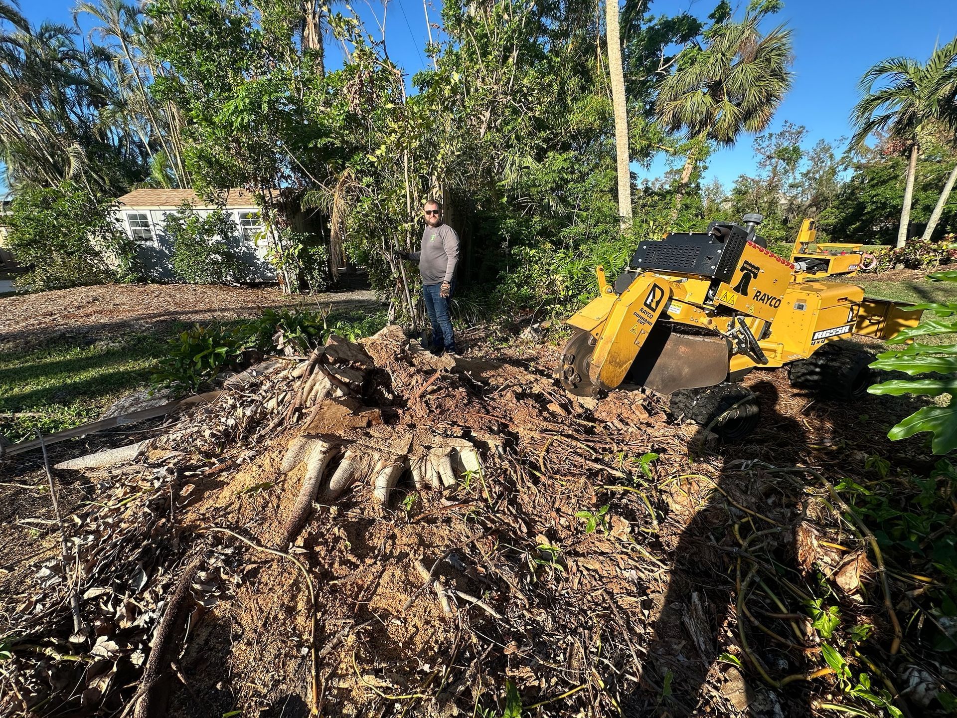A man watches a yellow stump grinder working on a pile of dirt and tree debris in a yard.