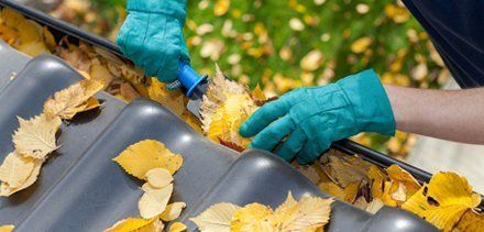 Northern Illinois Gutter Co | Gutter Services | DeKalb, IL