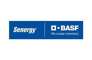 Senergy