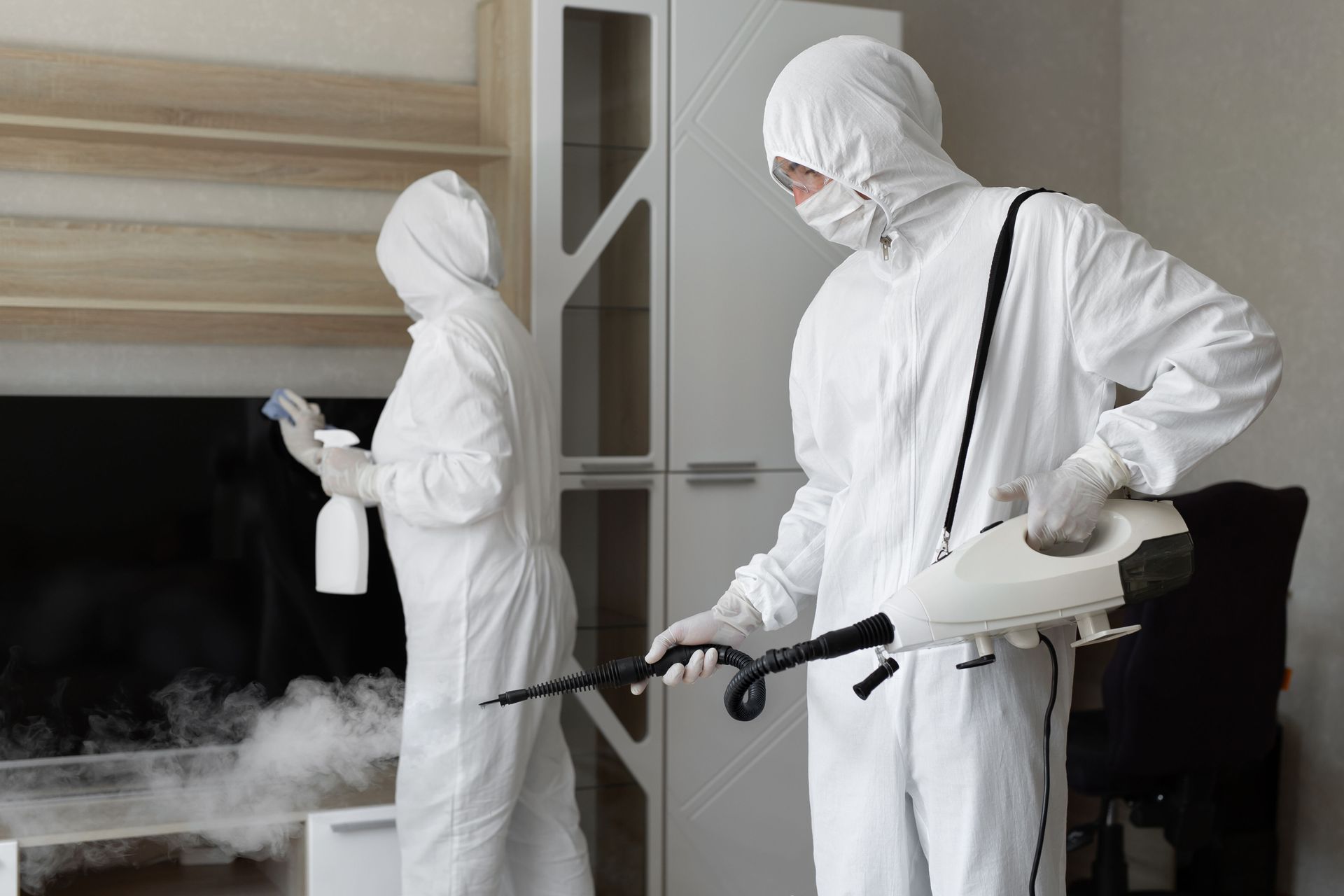 mold removal services