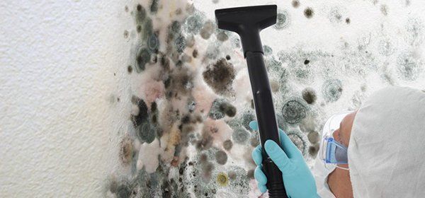 a person is cleaning mold off a wall with a vacuum cleaner.