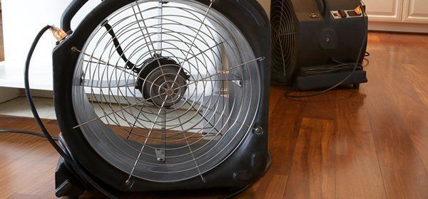 a fan is sitting on a wooden floor next to a vacuum cleaner .