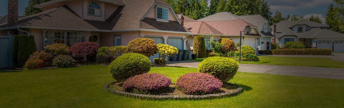 beautiful landscaped garden